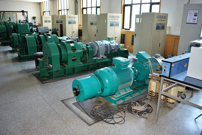 瑞金某热电厂使用我厂的YKK高压电机提供动力